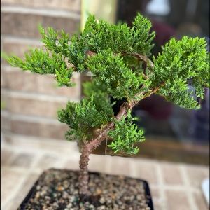 Meet your Posher, Janet